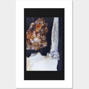 Citrine and Bone Posters and Art